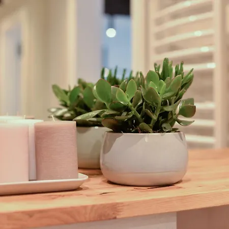 Old Town Ul. Sw. Ducha 68 Apartman