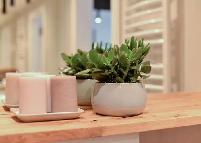 Old Town Ul. Sw. Ducha 68 Apartament